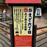 Beppu Hot Springs Hells Tour