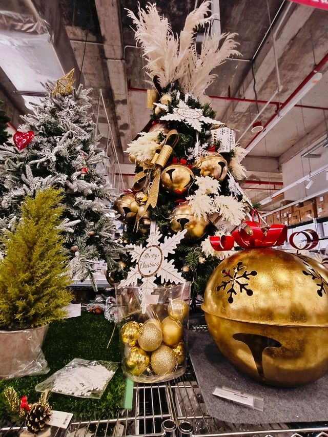 A Magical Christmas Trip to Remember