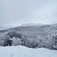 Winter Wonderland: Hiking Hallasan in Jeju’s Snowy Embrace