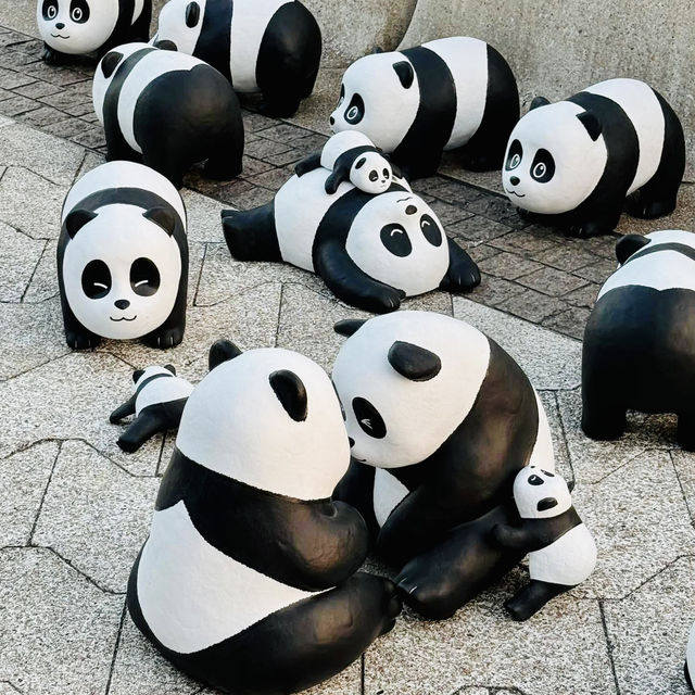 PANDA GO！香港-聖誕必去，逾2000隻大熊貓雕塑萌爆香港