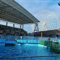 名古屋旅遊～名古屋水族館