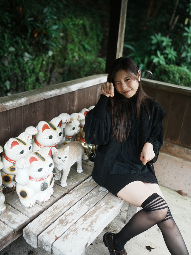 日本三大貓傳說之一🐱