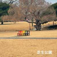 【大邱】無料で楽しめる動物園がある市民憩いの場【達城公園】　