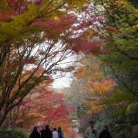 上田公園-黃金畫廊