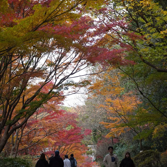 上田公園-黃金畫廊