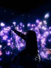 Teamlab Borderless พิพิธภัณฑ์โตเกียว