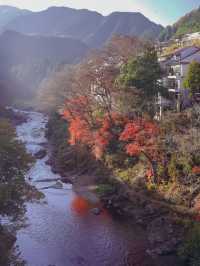 東京御岳渓谷🍁紅葉と清流の癒しスポット