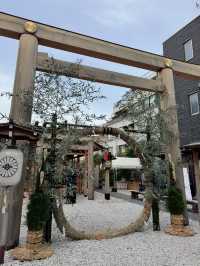 【東京】看板犬こいしちゃんに会いに行きたい🤍毎月行きたい神社⛩✨