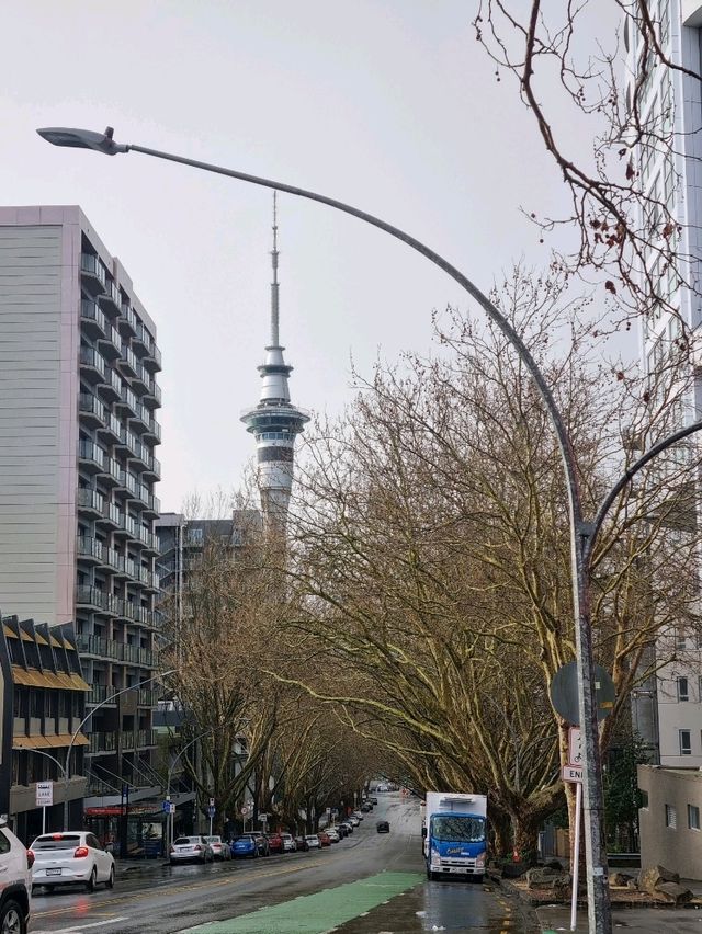비 온 뒤에 오클랜드의 시내 : Queen Street🇳🇿