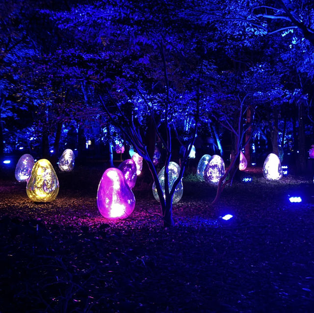 teamLab botanical garden osaka🇯🇵