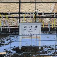 南北韓非軍事區（DMZ）近日體驗