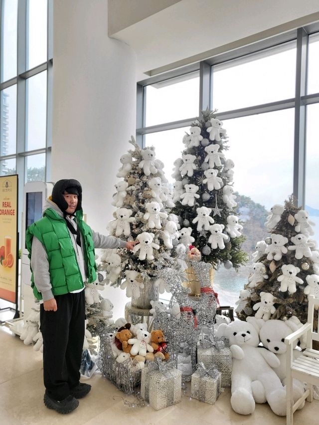 곰돌이트리와 오션뷰 분식을 맛보는 거제도여행