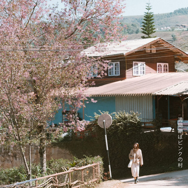 หนึ่งในหมู่บ้านที่ชอบที่สุด 'บ้านร่องกล้า'  🌸🌳