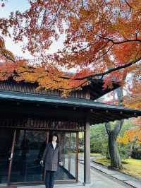 《箱根》箱根美術館で庭園散策