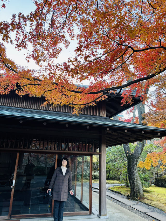 《箱根》箱根美術館で庭園散策