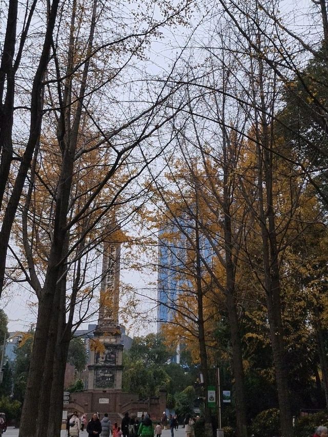 ✨Autumn in People's park✨