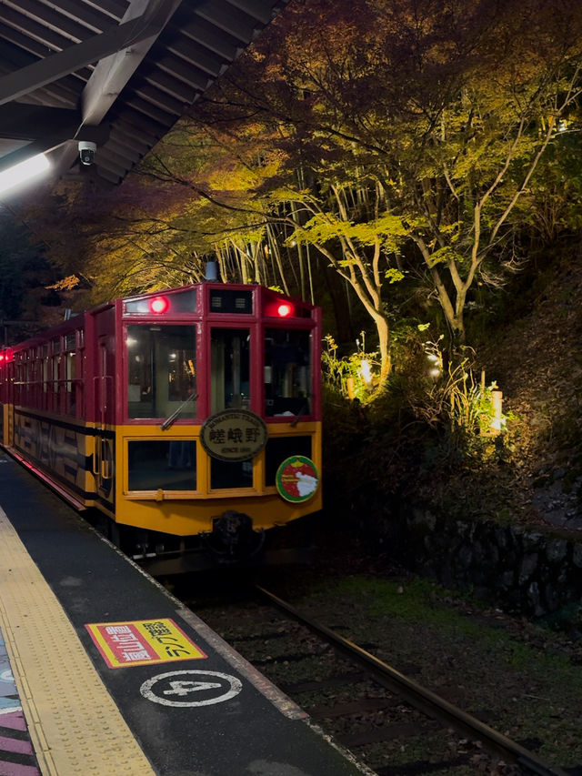 Sagano Romantic Train: A Scenic Autumn Journey Through Kyoto’s Beauty