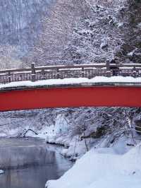 【栃木×湯西川】  古民家と本家判久が見られる赤い橋 雪景色が素晴らしい