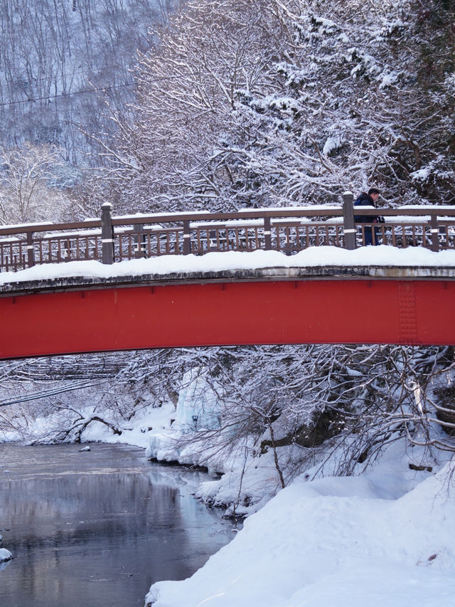 【栃木×湯西川】  古民家と本家判久が見られる赤い橋 雪景色が素晴らしい