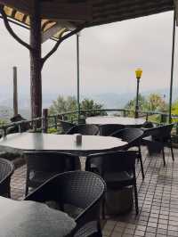 Sipping Tea Above the City: A Morning at Sunyang Tea House, Maokong