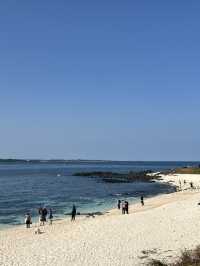 韓國濟州市牛島+城山日出峰一日遊