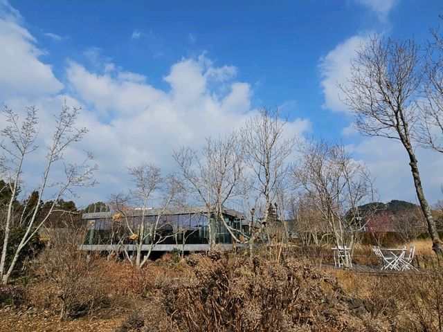제주 서귀포 카페 | 베케 정원카페
