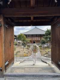 Magnificent Jorin-ji Temple, Kyoto 🇯🇵