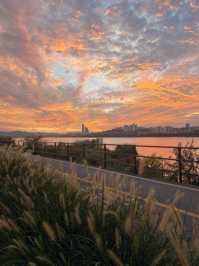 สวน Jamwon Hangang Park