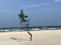 Gili Ketapang: Beauty Marred by Neglect