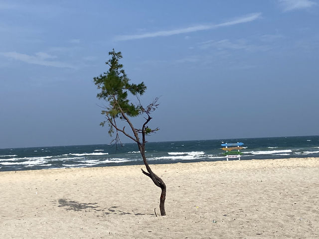 Gili Ketapang: Beauty Marred by Neglect