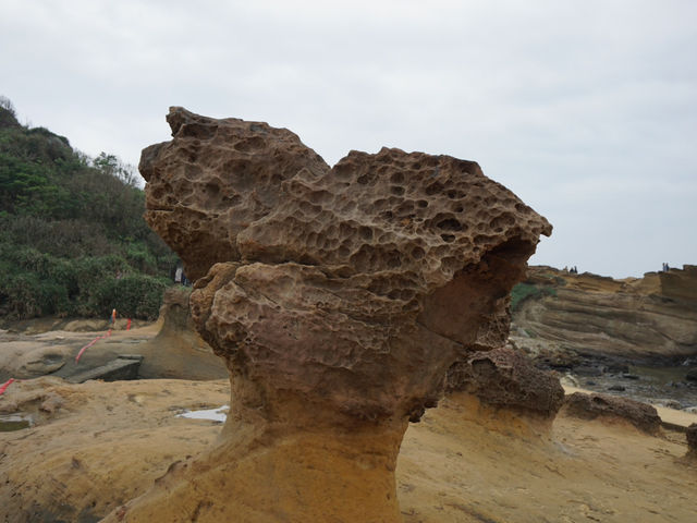 Unveiling Yehliu Geopark: A Serene Escape into Taiwan's Geological Masterpieces