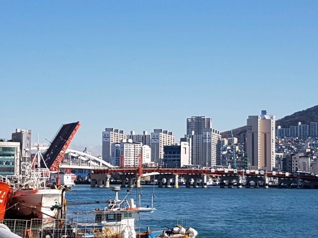 釜山 會打開的橋