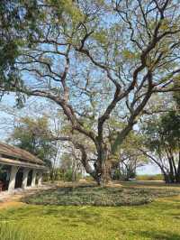 Mrigadayavan Palace 