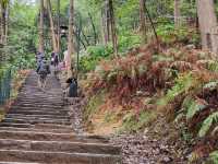 重慶登高望遠爬個小山-南山老君洞