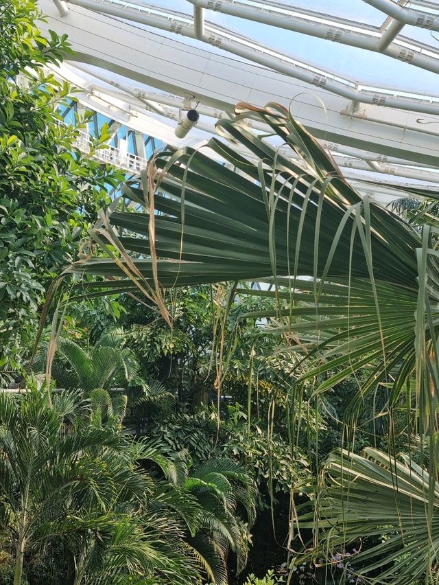 신기한 초록 세상! 겨울 서울식물원 탐험 🌿🔍