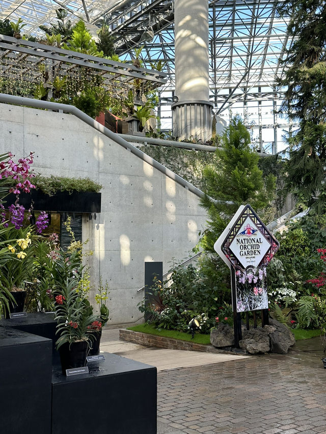 【大阪淡路島】🌵有療癒力量的奇跡之星植物園🌟
