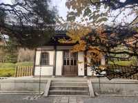 One-Hour Sojourn at Ryoan-ji Temple