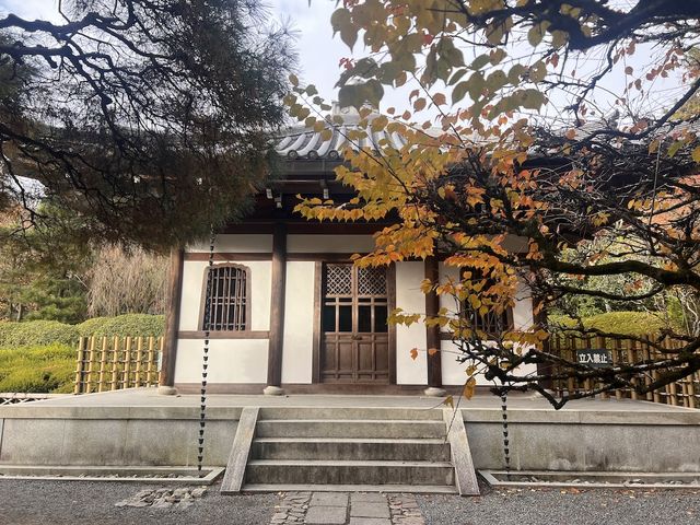 One-Hour Sojourn at Ryoan-ji Temple