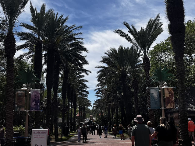 🐾 🐊✅Audubon Zoo（ニューオーリンズ）攻略ガイド – 自然と動物たちの楽園を満喫！