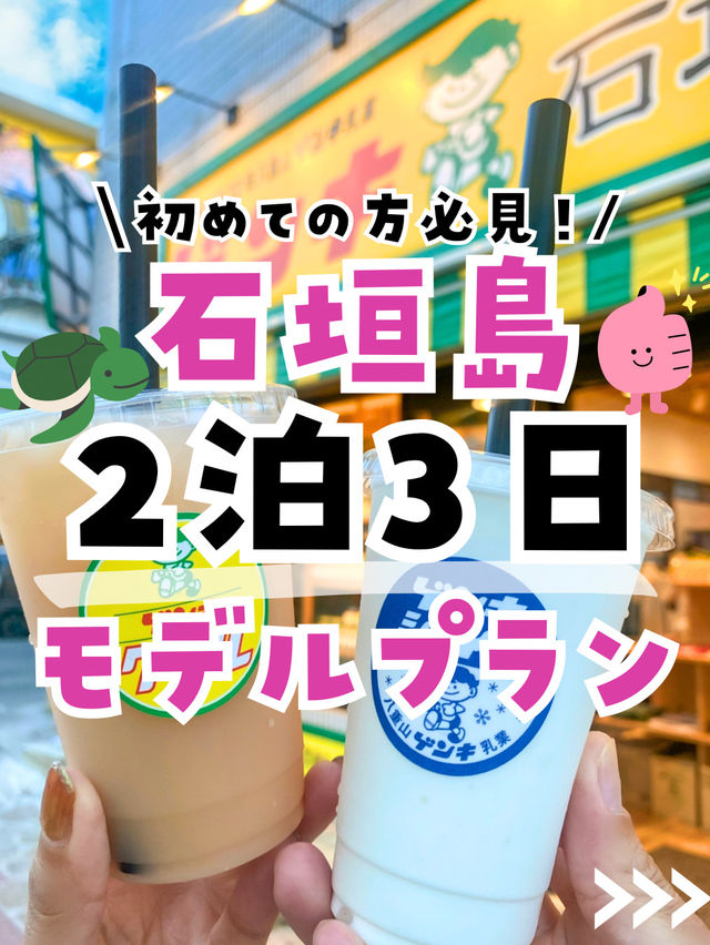【石垣島プラン】初めての方必見！石垣島おすすめプラン後編紹介するよ！🌺