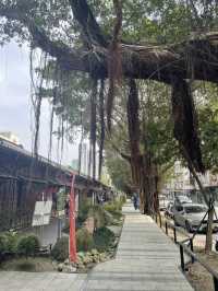 Rongjin Gorgeous Time (榕錦時光生活園區)