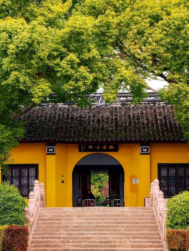 Explore the Historical Charm of Zhenze Ancient Town