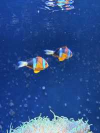 四國水族舘