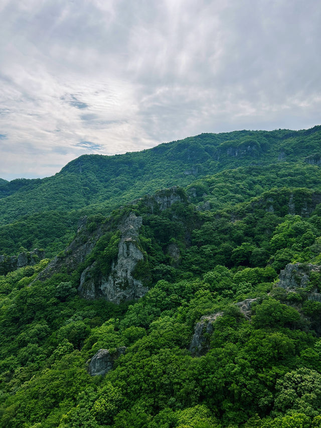 日本三大渓谷美！絶景の寒霞渓を空中散歩🚠🍁