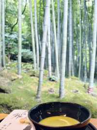 【神奈川県　鎌倉市の禅寺　報国寺で美しい苔の庭と竹林を歩みお抹茶を一服】 