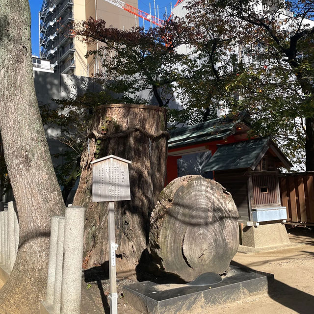 吉原神社·學業祝福 