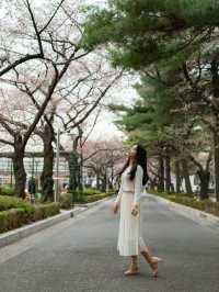 사진 찍기 좋은곳 추천