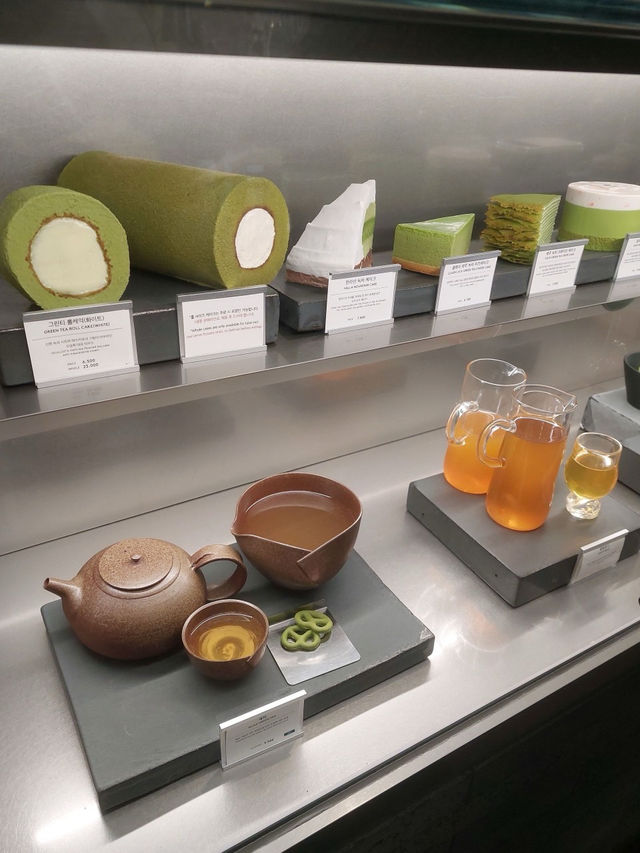 🌳🍵☕️제주 서쪽 가볼만한 곳 오설록 티뮤지엄 