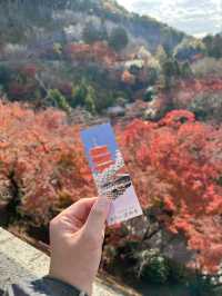 Capturing Kyoto’s Essence-The Timeless Beauty of Kiyomizu-dera