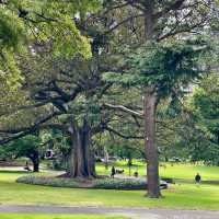 Stroll Through Flagstaff Gardens